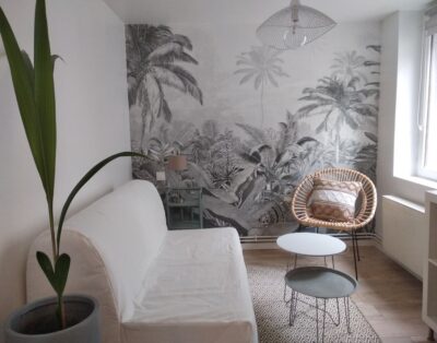 Duplex au calme Lille Cormontaigne / Wazemmes