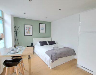 Ravissant studio cœur du vieux Lille